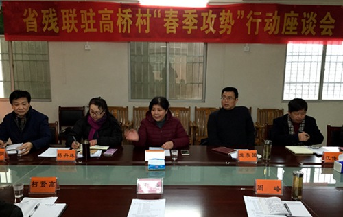 图为省残联党组书记、理事长陶慧芬出席驻点村“春季攻势”调研座谈会